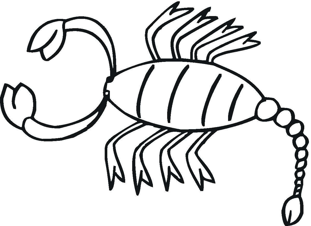 Skorpiony kolorowanki